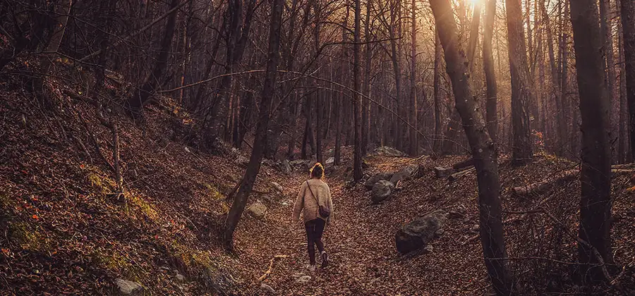 Ta en höstpromenad. Genom agerande bryter vi mönstret där negativa känslor håller oss tillbaka.