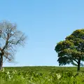 Mindfulness, Move Management