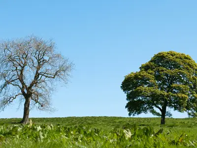 Mindfulness, Move Management