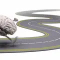 När du byggt upp en rutin tar din hjärna automatiskt motorvägen istället för en slingrande grusväg mot ditt mål