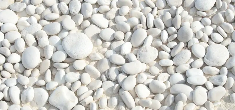 Mindfulness, Move Management