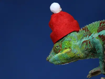 Fokusera på att vara närvarande och ta det lugnt i Jul.