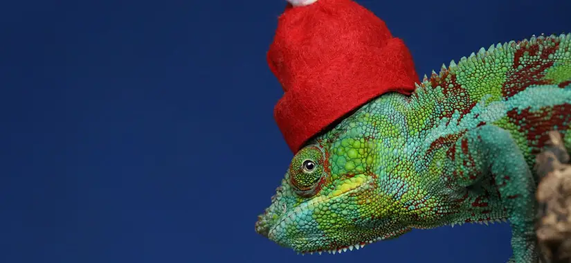 Fokusera på att vara närvarande och ta det lugnt i Jul.