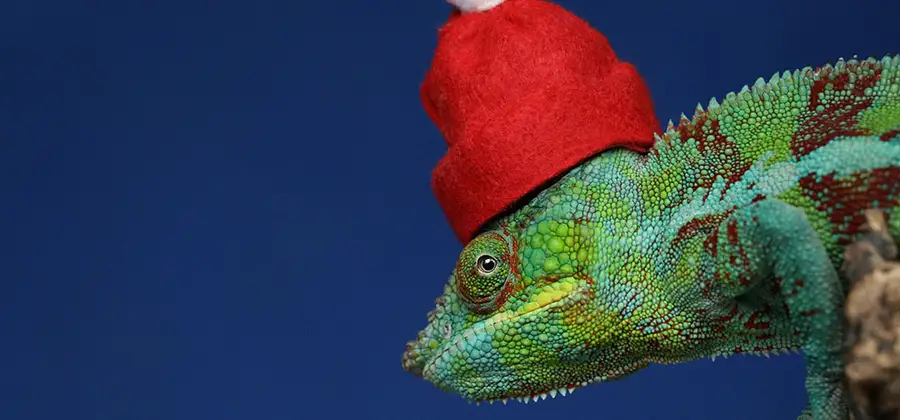 Fokusera på att vara närvarande och ta det lugnt i Jul.
