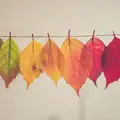 Förändring börjar utifrån och in, för att sedan gå inifrån och ut.